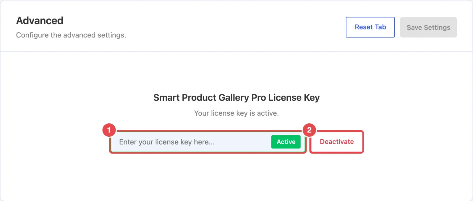 Advanced → License Key before activation: the key field and the Activate button